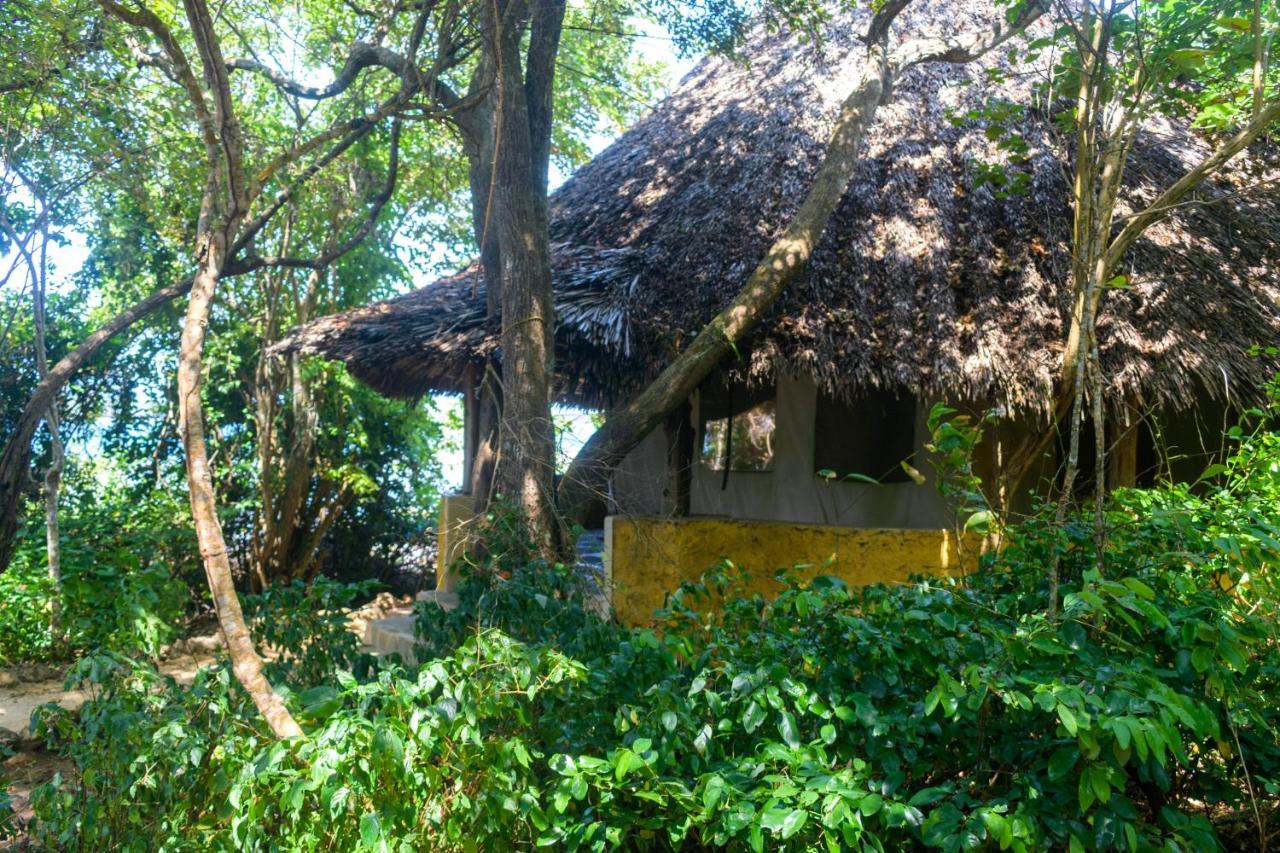 Willa Firefly Eco Retreat Shimoni Zewnętrze zdjęcie